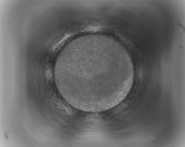 X0000103951206200810171830