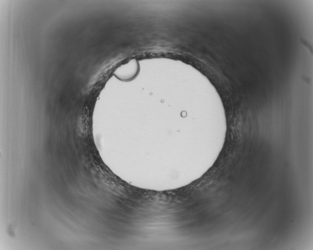 X0000103951207200810171830