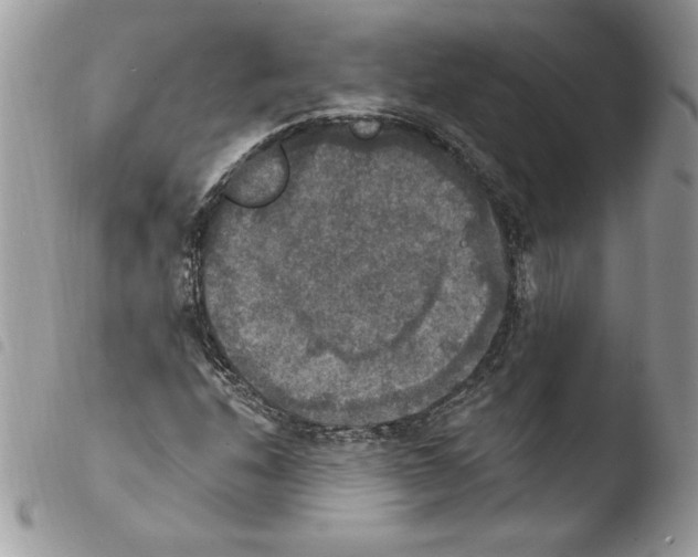 X0000103951208200810171830