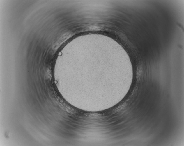 X0000103951209200810171830