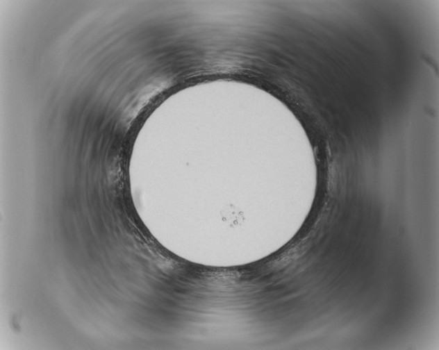 X0000103951210200810171830