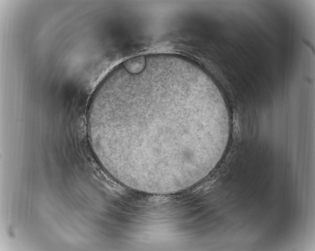 X0000103951212200810171830