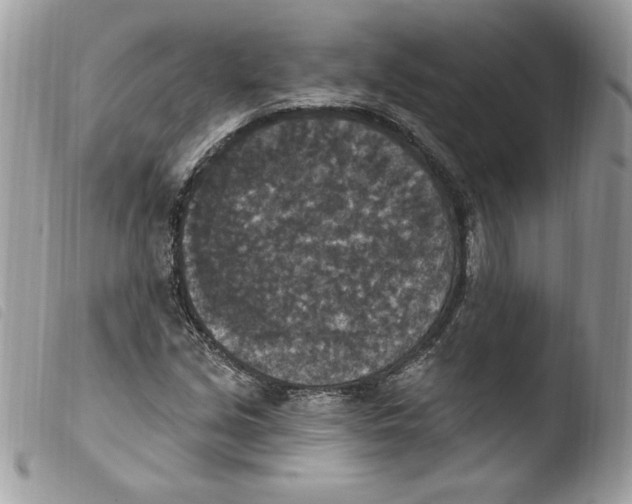 X0000103951213200810171830