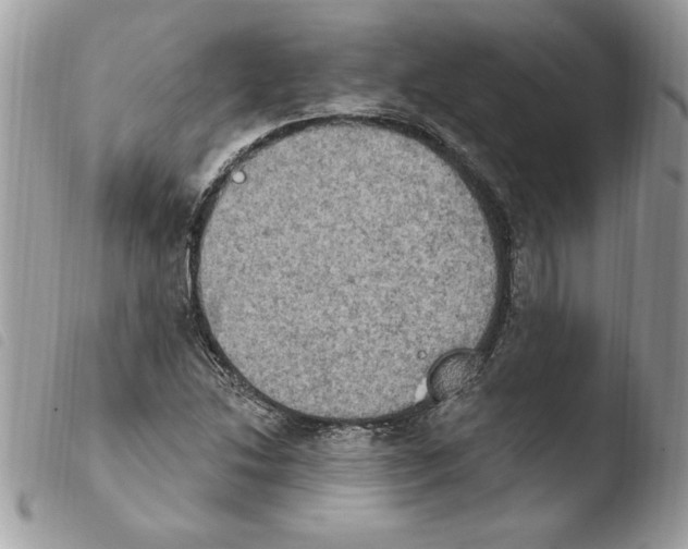 X0000103951214200810171830