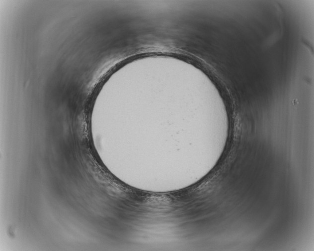 X0000103951215200810171830