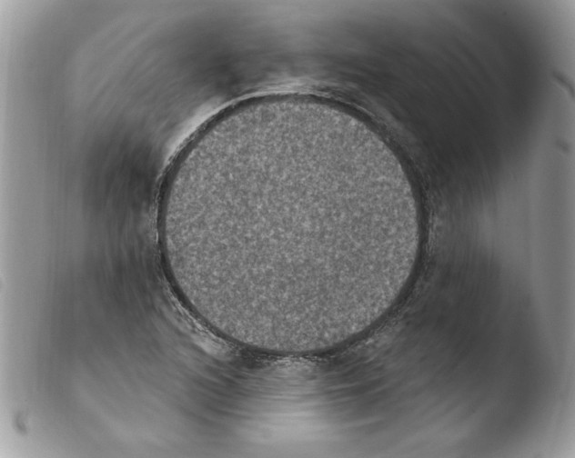 X0000103951216200810171830