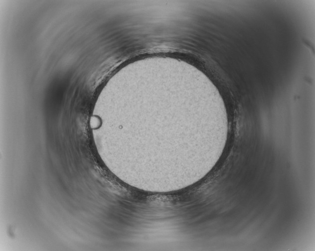 X0000103951217200810171830