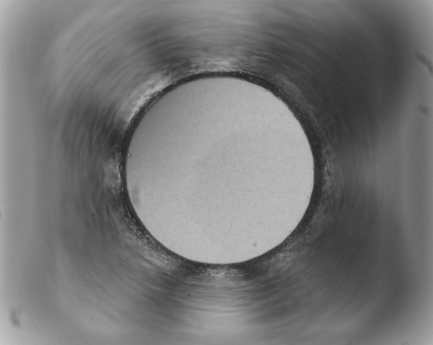 X0000103951218200810171830
