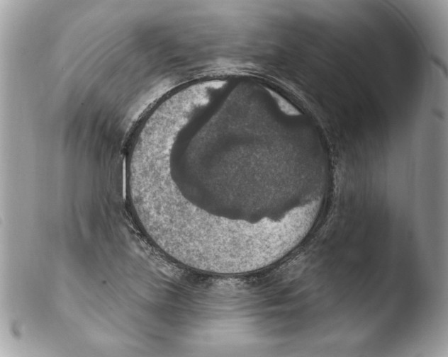 X0000103951219200810171830