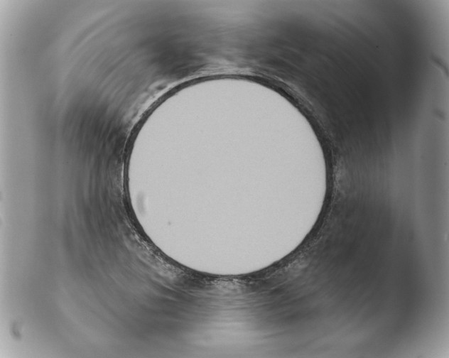 X0000103951220200810171830