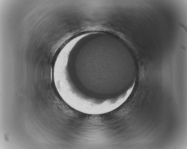 X0000103951221200810171830
