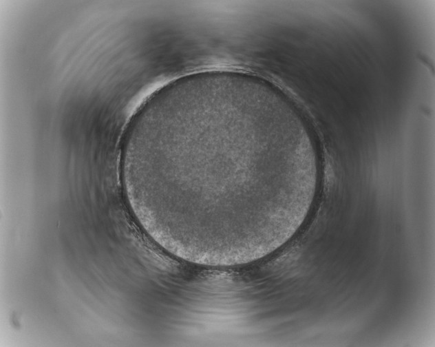 X0000103951222200810171830