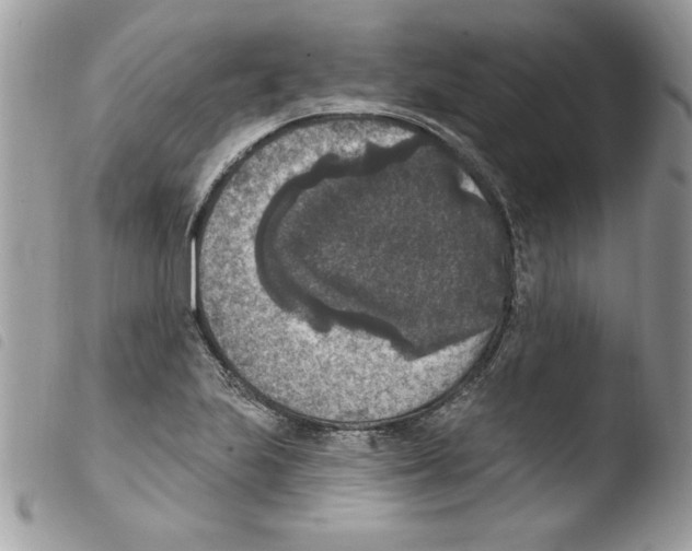 X0000103951223200810171830
