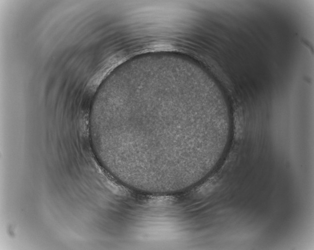 X0000103951225200810171830