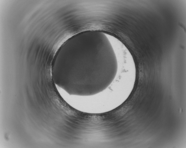 X0000103951226200810171830