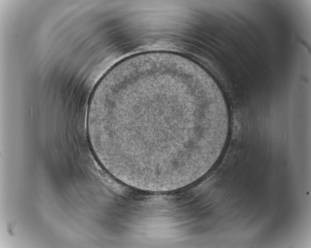 X0000103951228200810171830