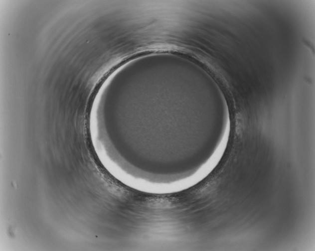 X0000103951229200810171830