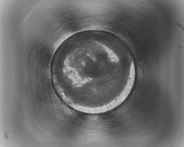 X0000103951230200810171830