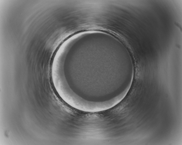 X0000103951231200810171830