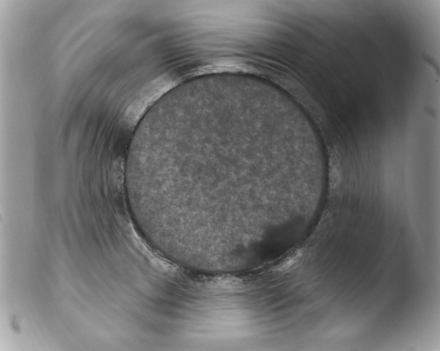 X0000103951233200810171830