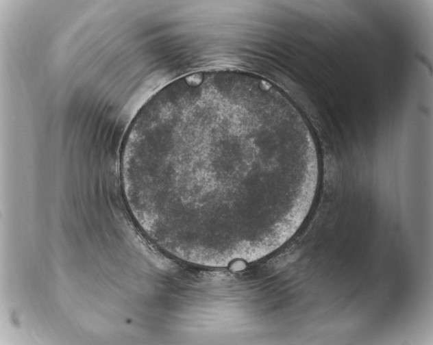 X0000103951234200810171830