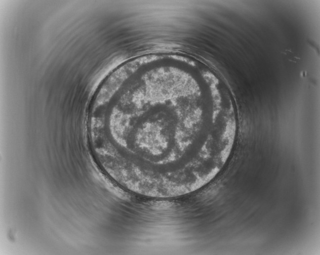 X0000103951235200810171830