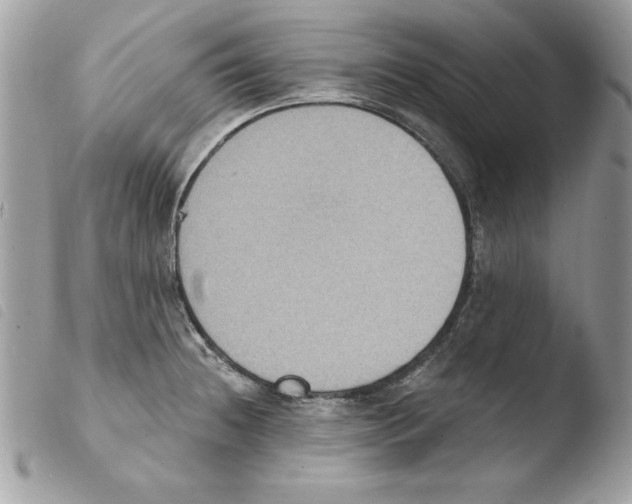 X0000103951236200810171830
