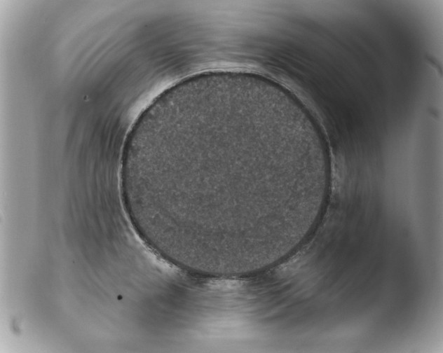 X0000103951237200810171830