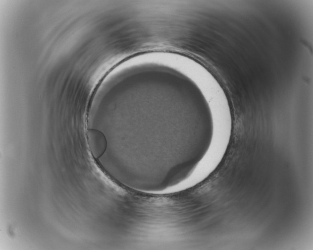 X0000103951239200810171830