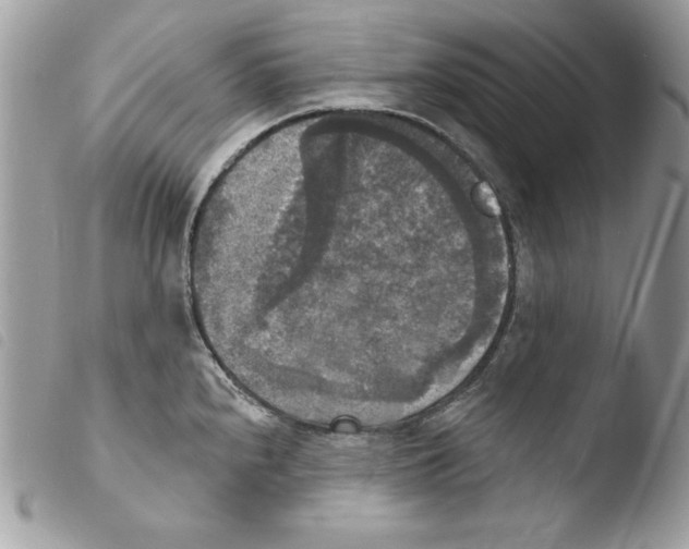 X0000103951240200810171830