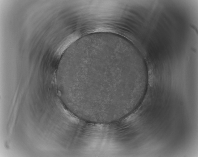 X0000103951241200810171830