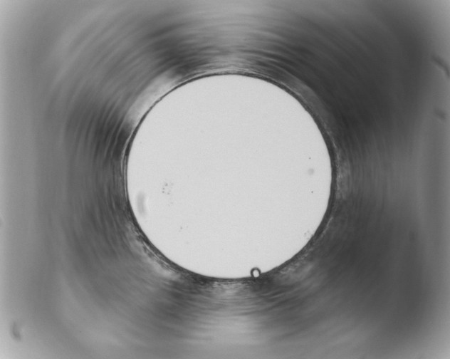 X0000103951242200810171830
