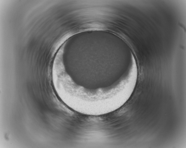 X0000103951243200810171830