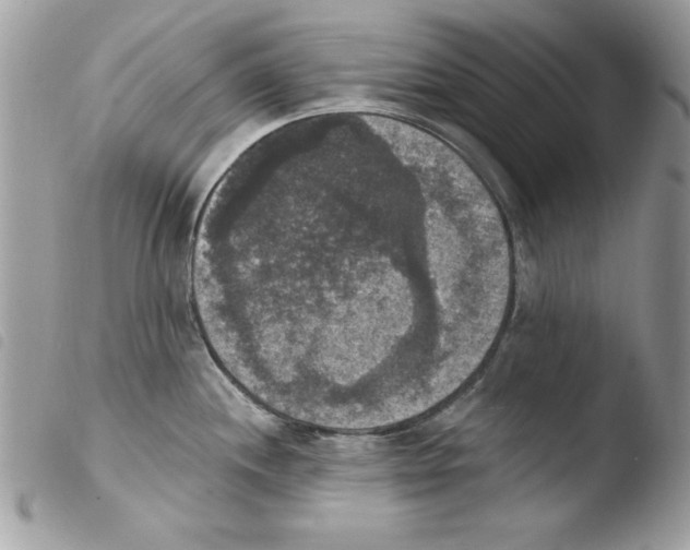 X0000103951244200810171830