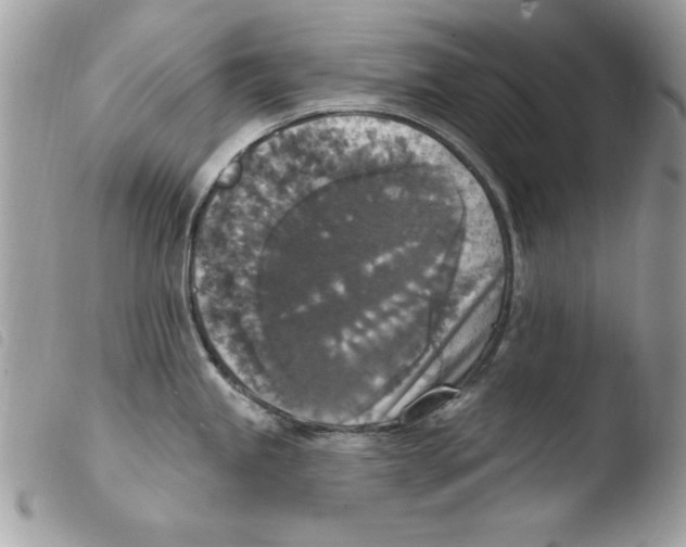X0000103951245200810171830