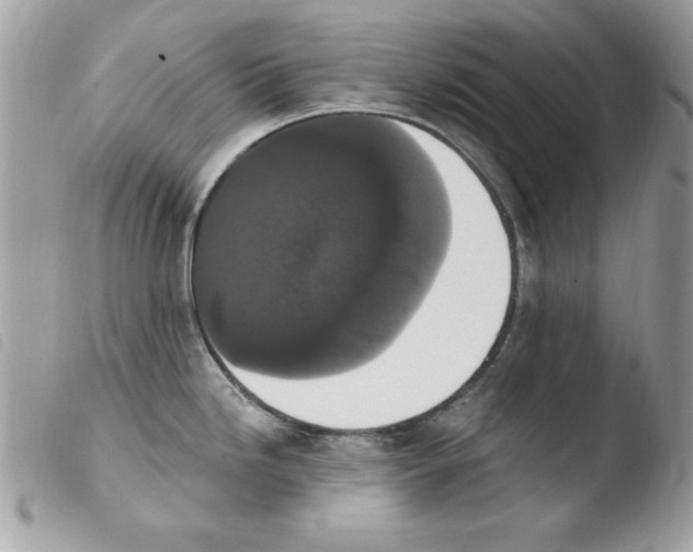 X0000103951246200810171830
