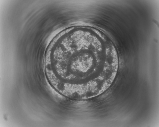 X0000103951247200810171831
