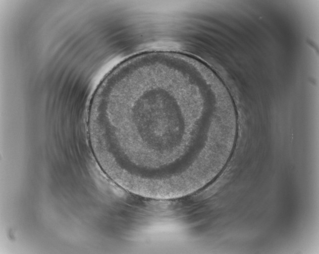 X0000103951248200810171831