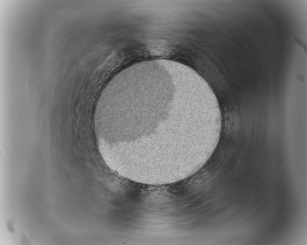 X0000103951249200810171830