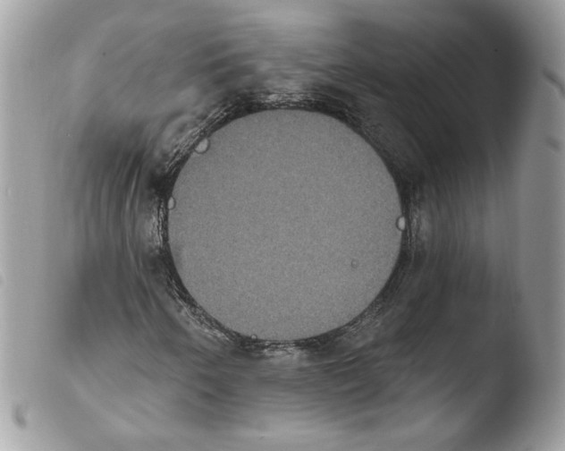 X0000103951250200810171830