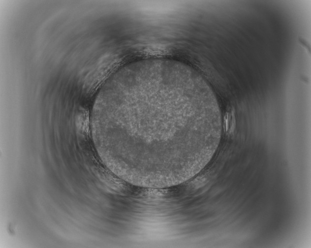 X0000103951251200810171830