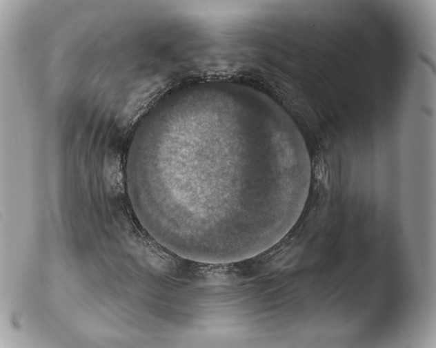 X0000103951252200810171830