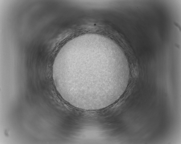 X0000103951253200810171830