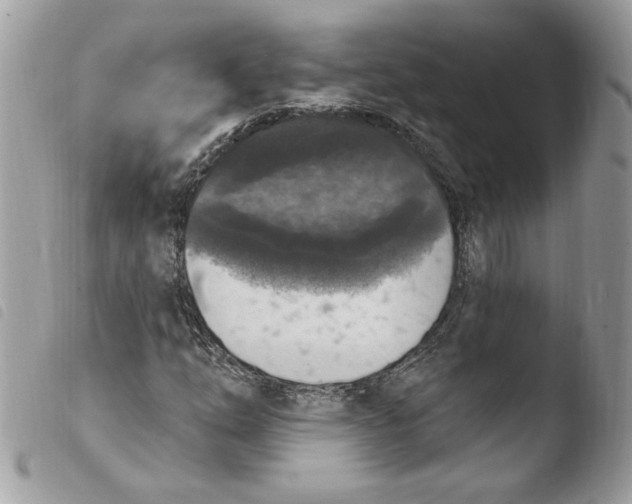 X0000103951254200810171830