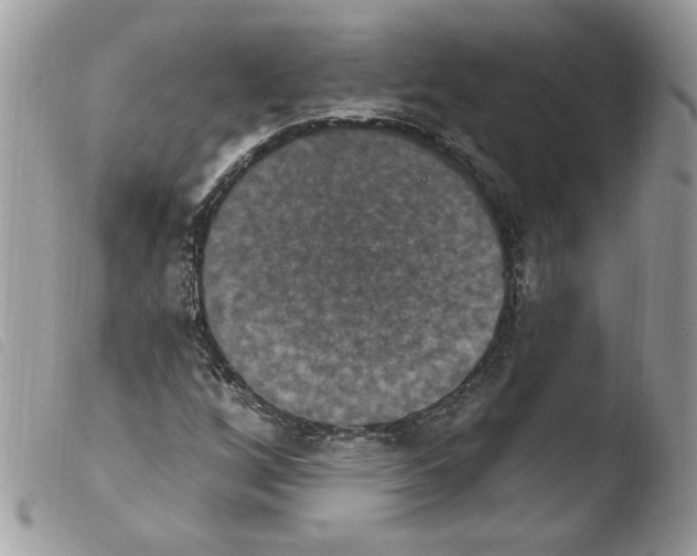 X0000103951256200810171830