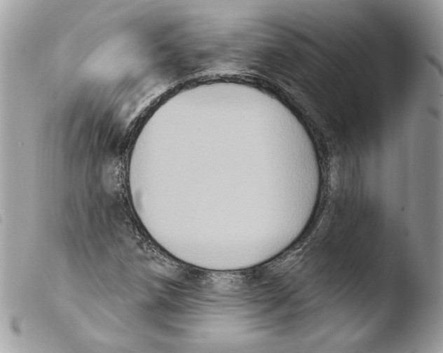 X0000103951258200810171830