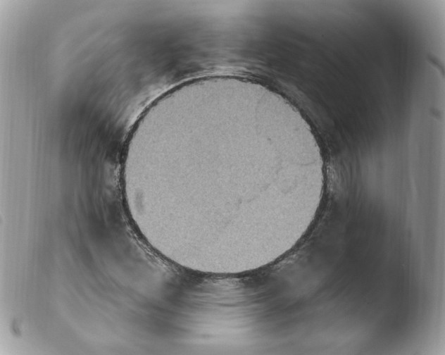 X0000103951260200810171830