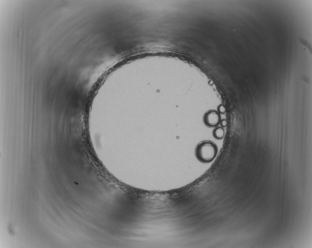 X0000103951261200810171830
