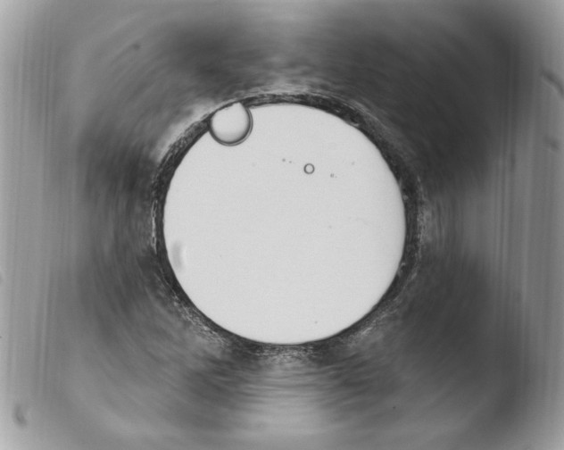 X0000103951262200810171830