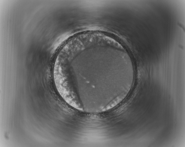 X0000103951263200810171829